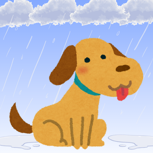 雨の中にいる犬